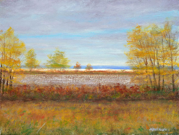 Cloudy landscape painting over field of cotton