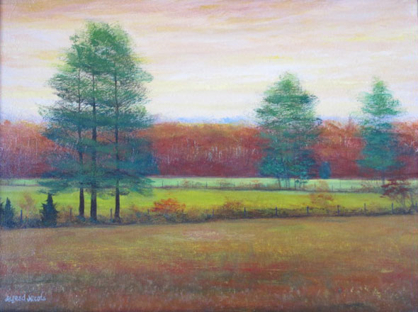 Pine trees and autumn leavs around a field